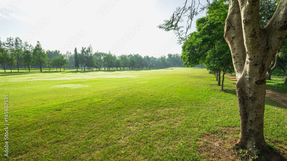 Beautiful green golf and meadow at the park Beautiful green golf and meadow at the park