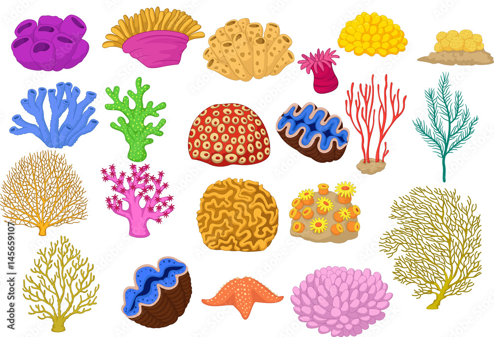 Obraz premium Zestaw kolorowych korali, zacisku i rozgwiazdy