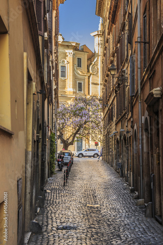 Street of Rome  Italy
