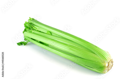 celery on white background