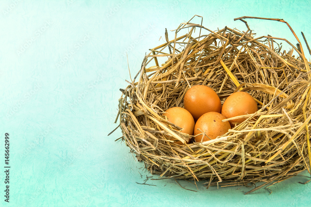 twigs nest with brown chicken eggs twigs nest with brown chicken eggs