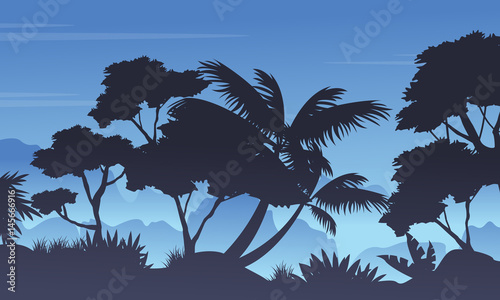 Silhouette of rain forest landscape