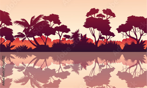 Beauty scenery rain forest collection stock