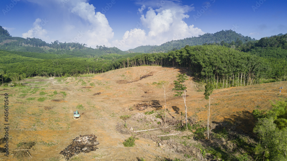 Deforestation. Logging. Aerial drone view of environmental destruction of rainforest