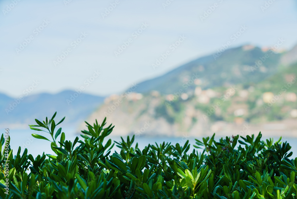 Fototapeta premium summer landscape