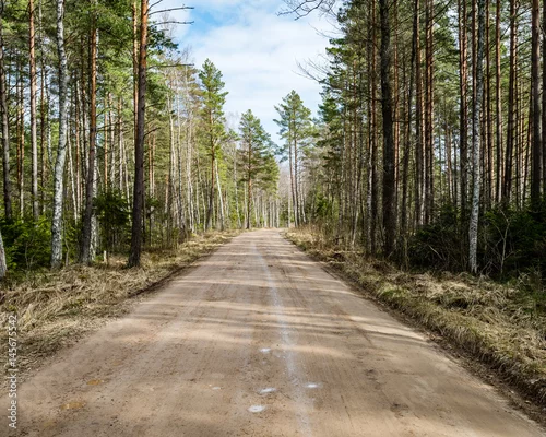 Obraz malownicza i piękna turystyka roud w lesie