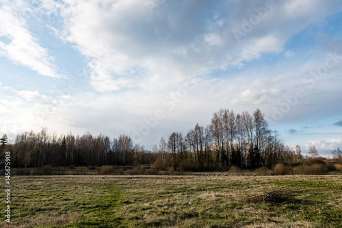 fields in country under blue sky with white clouds