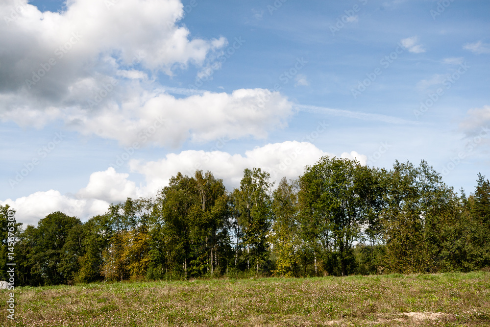 Fototapeta premium fields in country under blue sky with white clouds