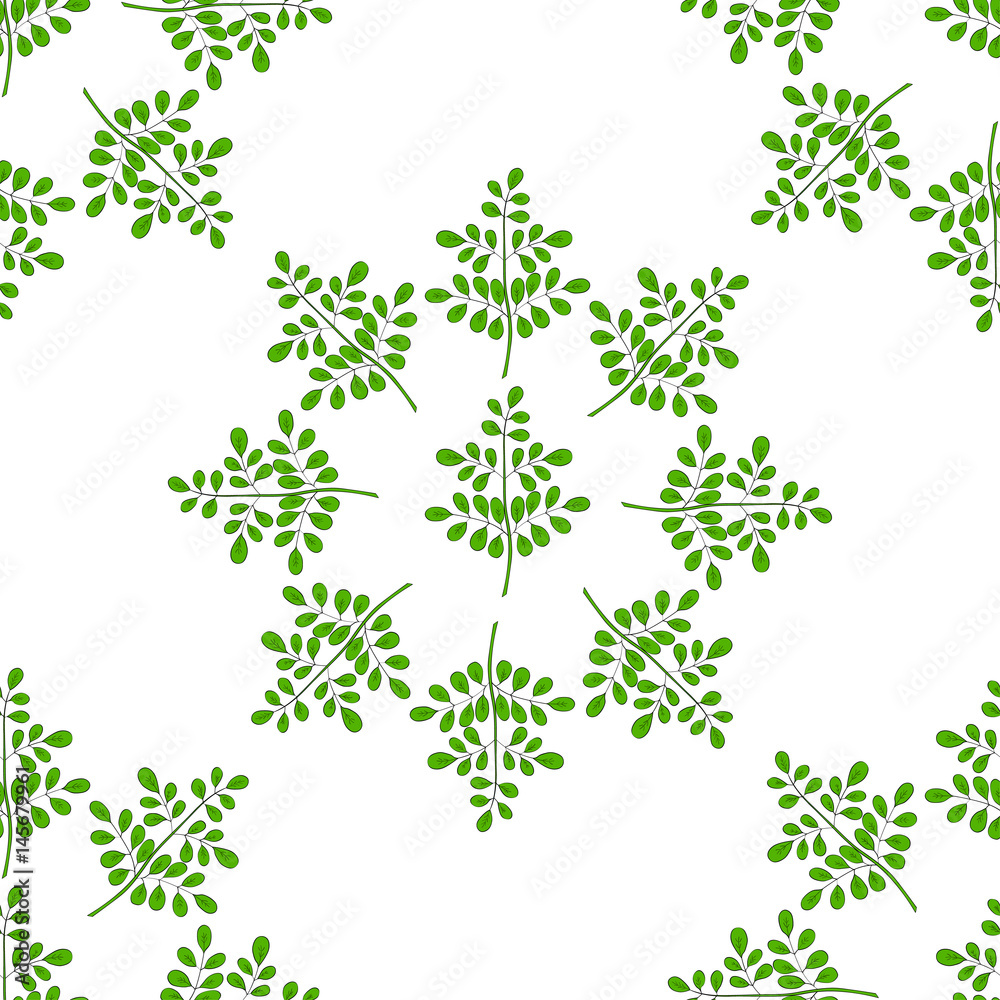 Moringa oleifera, medicinal plant. Hand drawn botanical sketch illustration in color, seamless pattern.