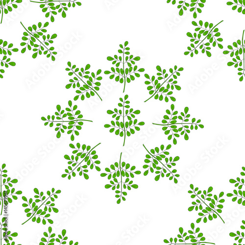 Moringa oleifera, medicinal plant. Hand drawn botanical sketch illustration in color, seamless pattern.