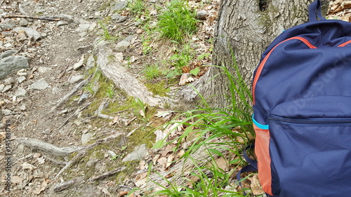 Travel backpack on green grass in spring