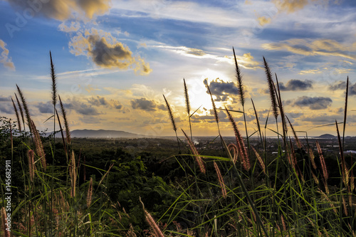 Nature and sun