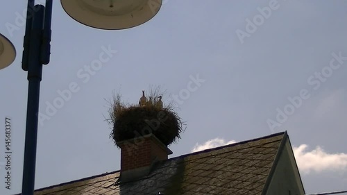 Große Hitze und daher wenig Bewegung beim Storchennachwuchs in ihrem Nest auf einem Kamin (Totale) photo