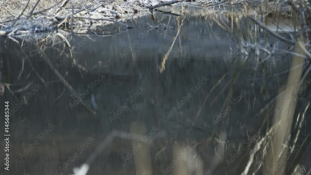 slow motion reflection on water of man trail running slow motion reflection on water of man trail running
