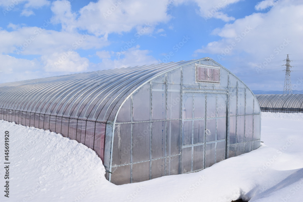 雪国のビニールハウス