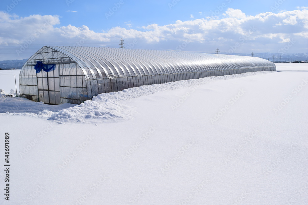 雪国のビニールハウス 雪国のビニールハウス