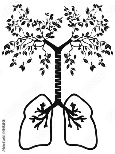 the lung tree