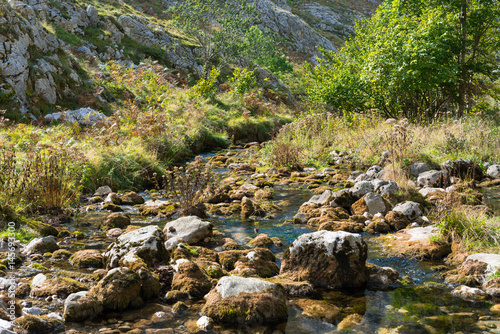 The Rio Bulnes leads along the Canal del Texu, a trackway between the village Bulnes and Poncebos at the river Rio Cares in the Picos de Europa photo