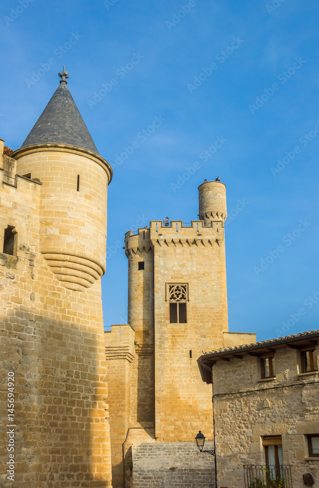 People on top of the castle of Olite