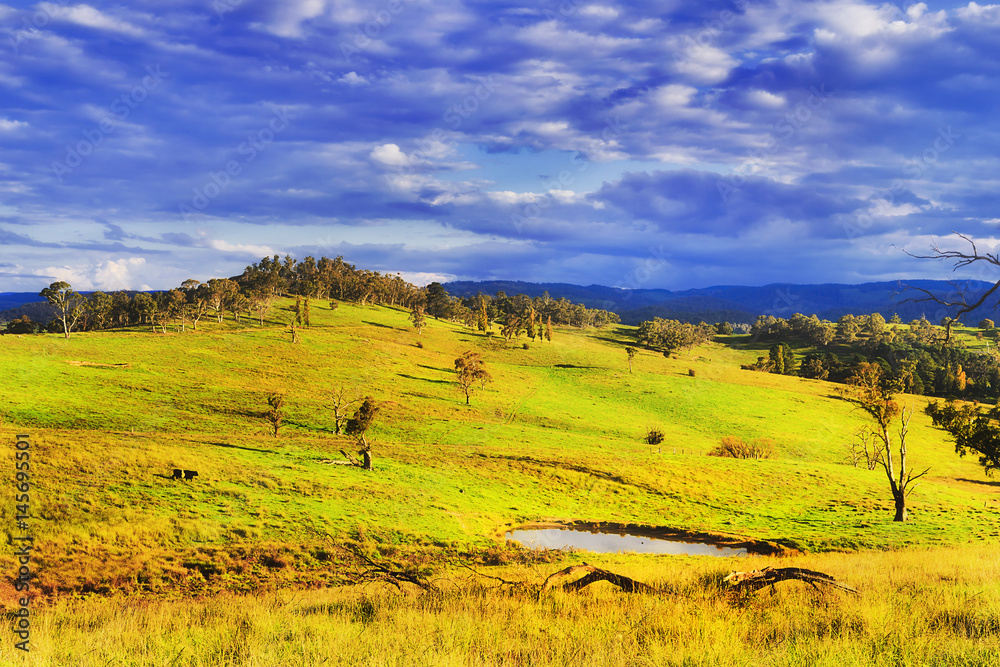 Fototapeta premium BM Hills Water Pit Grazing