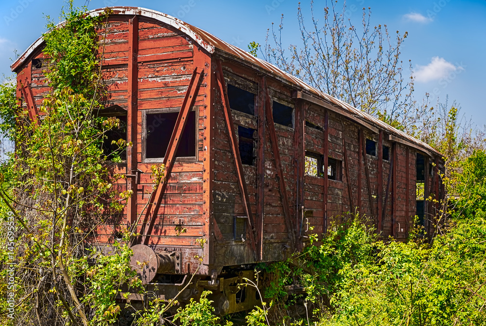 Old wooden railway wagon derelict captured by vegetation. Old wooden railway wagon derelict captured by vegetation.