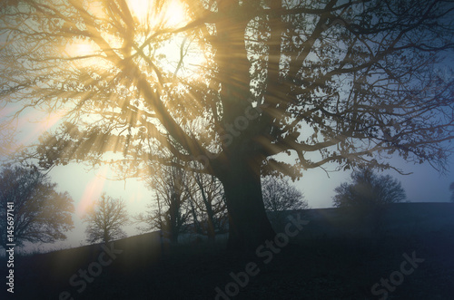sun rays in dark morning la...