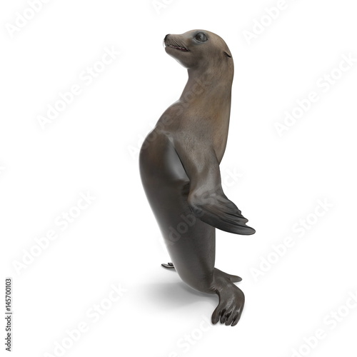 Sea Lion Standing on white. 3D illustration