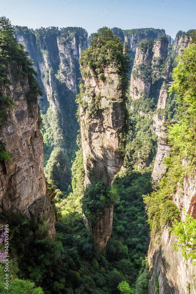 China, Zhangjiajie National Park