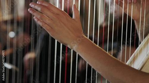 close up of hands playing the harp