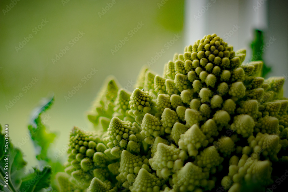 Close up of Fractal like Romanesco Broccoli with Narrow DOF 4