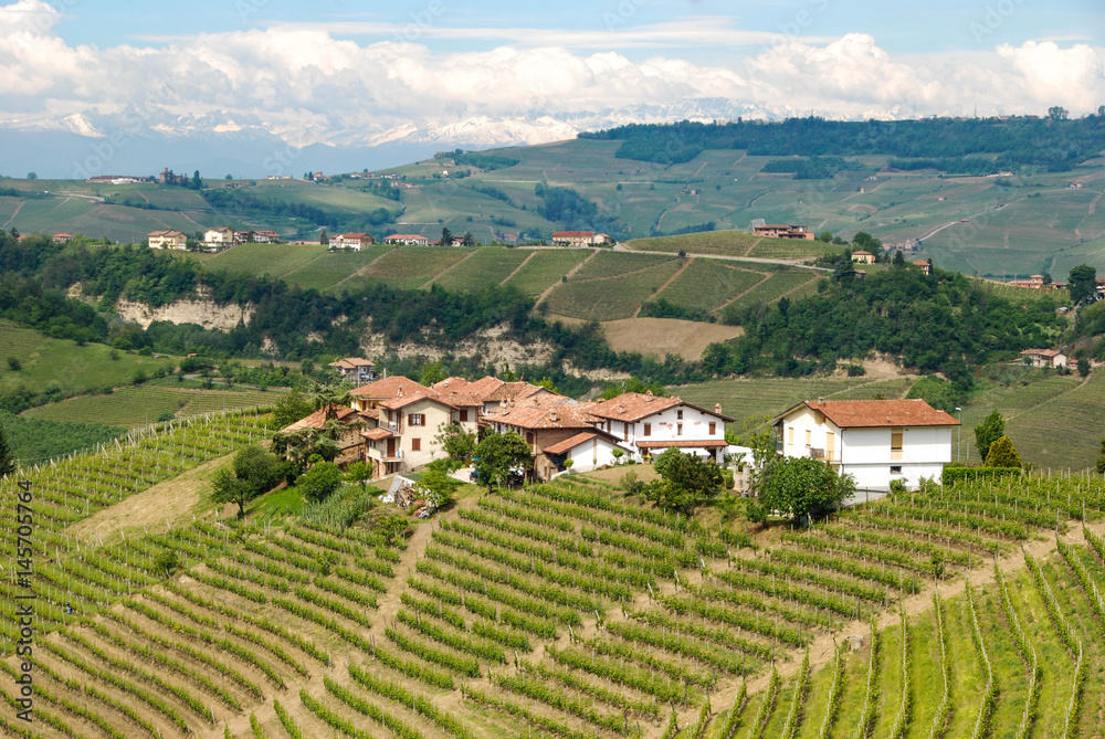 Langhe Hills, Piedmont