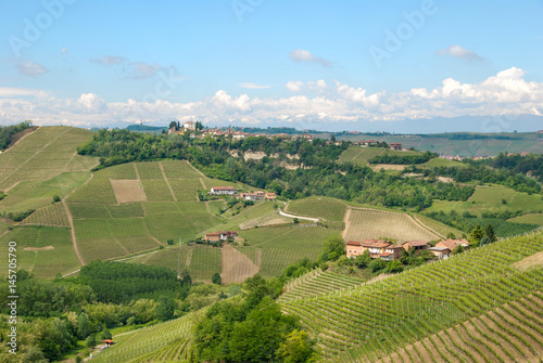 Langhe Hills  Piedmont