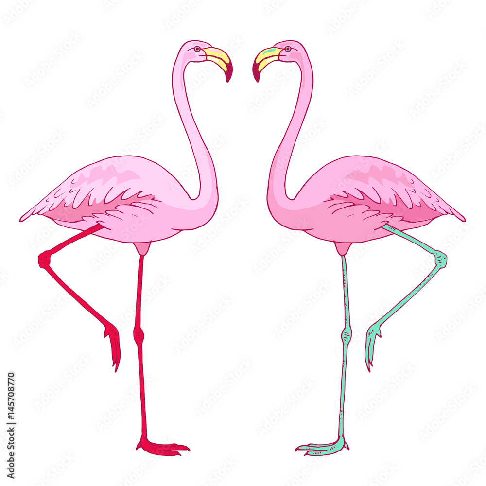 Fototapeta premium Vector pink flamingo bird couple illustration. Hand drawn sketch with the wild animal. Romantic Valentines day illustration