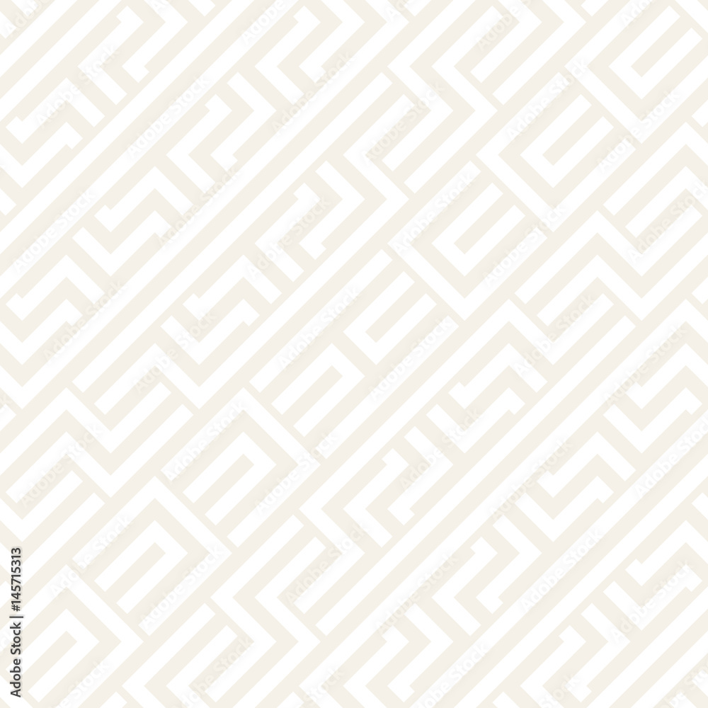Interlacing Lines Subtle Lattice. Ethnic Monochrome Texture. Vector Seamless Black and White Pattern. Interlacing Lines Subtle Lattice. Ethnic Monochrome Texture. Vector Seamless Black and White Pattern.