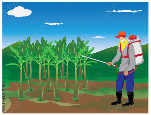 agriculturist sprays banana plant vector design