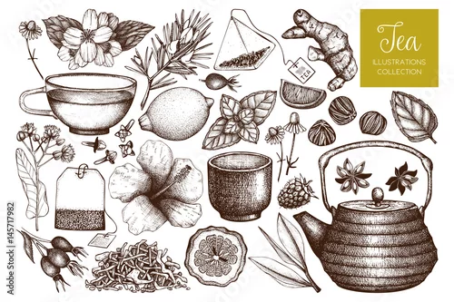 Obraz Vector tea sketch collection