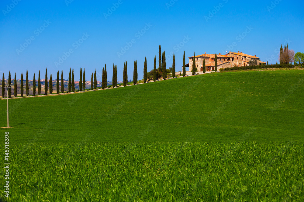 old house and cypresses
