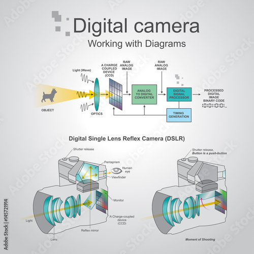 Digital camera dslr diagram. Vector graphic. photo
