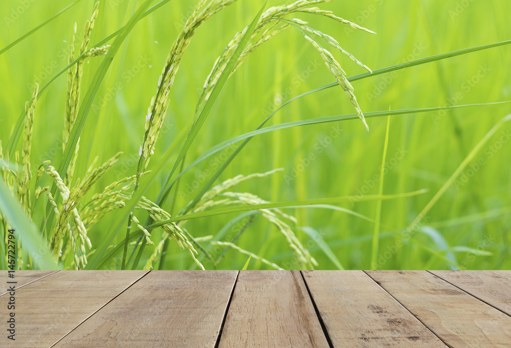 Obraz premium wooden plank with green rice Field