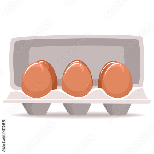 Vector Illustration of Organic Eggs inside the Box