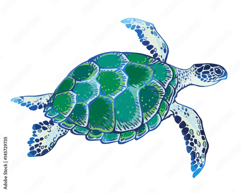 Fototapeta premium Hand drawn vector turtle