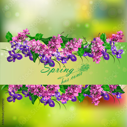 Fototapeta Naklejka Na Ścianę i Meble -  red cherry flower
