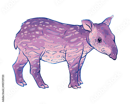 Hand drawn vector tapir