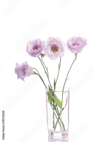 bunch of pale violet eustoma flowers in glass vase isolated on white