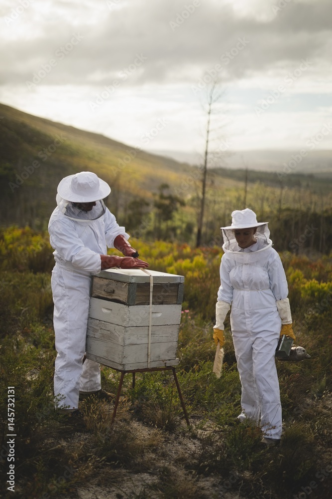 Beekeepers working on beehive at apiary Beekeepers working on beehive at apiary