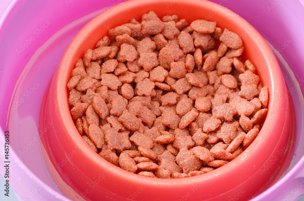 pet food in red bowl on water tray for protected ant or insect feeding pet food in red bowl on water tray for protected ant or insect feeding