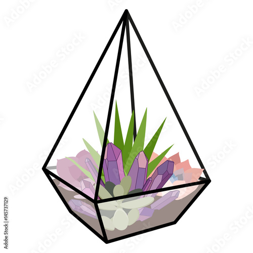Vector illustration with glass florarium