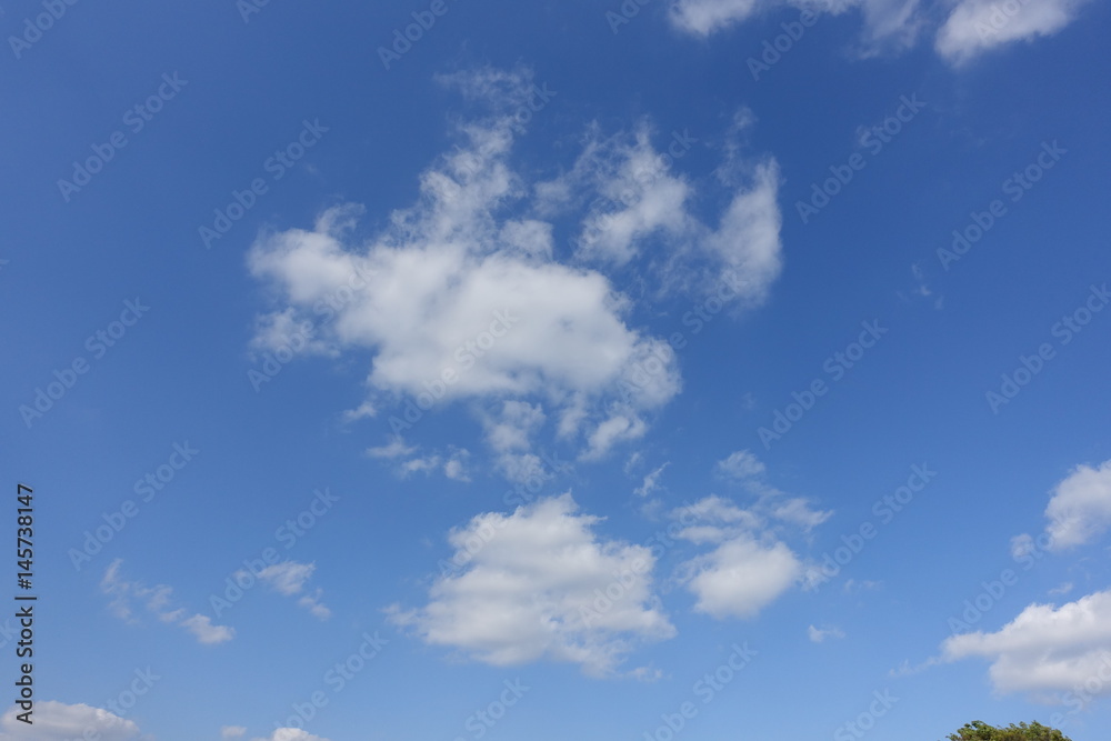 Obraz premium 春の青空