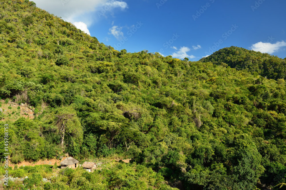 Cuba, Tourist trail into Pico Turquino tops Cuba, Tourist trail into Pico Turquino tops