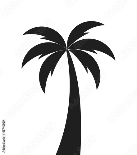 Palm tree shape icon